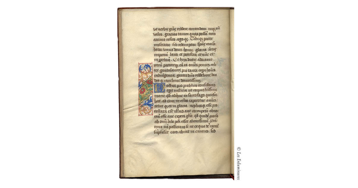 Triumphus Illuminated Manuscript Matris Dei : Medieval Text Manuscripts