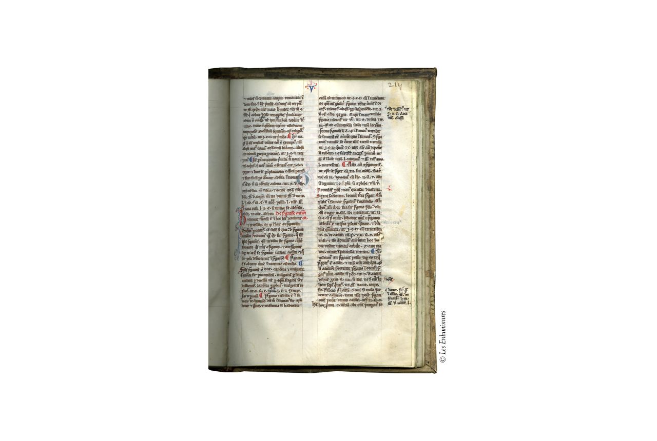 Goffredus Rare Books Trano Medieval Text Manuscripts