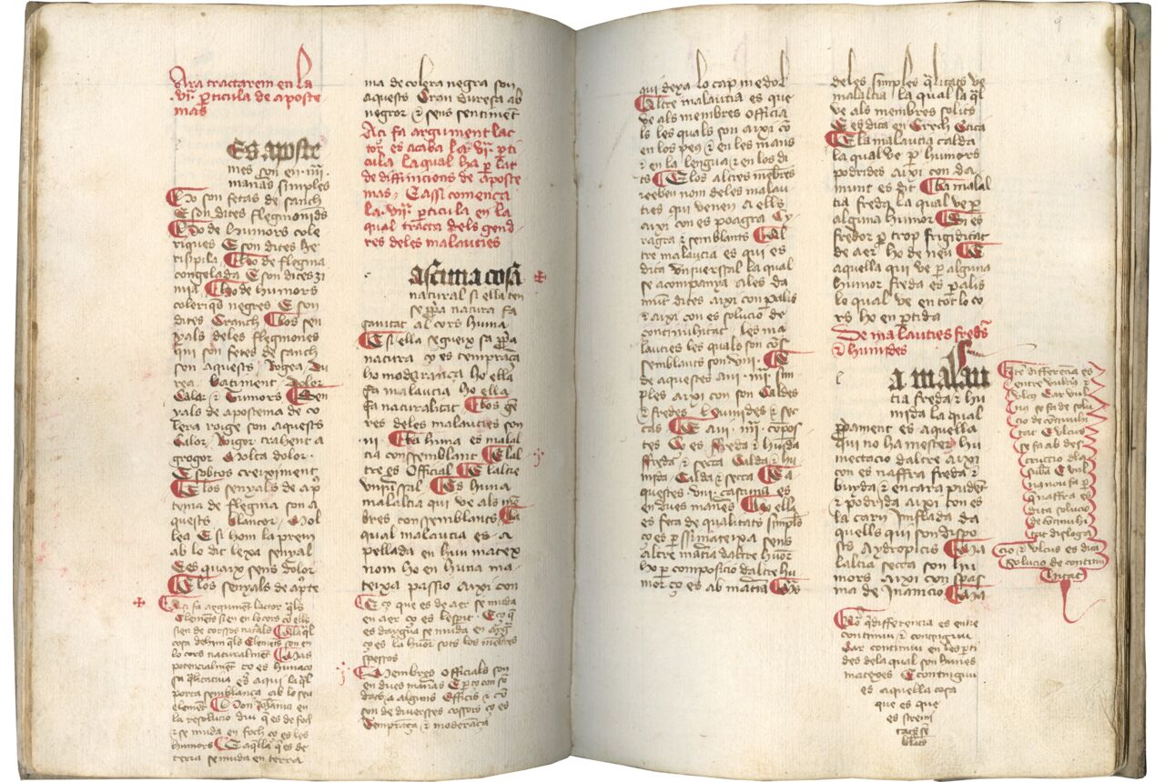 Medieval Manuscripts