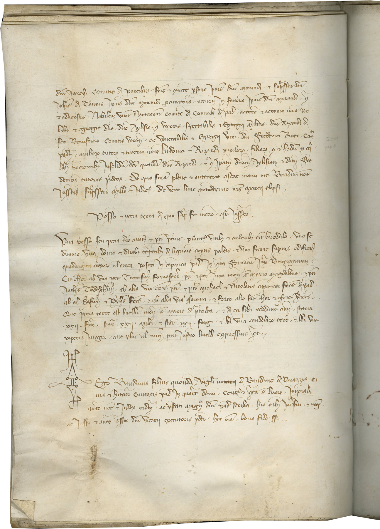 Notarial Register from Padua : Medieval Text Manuscripts