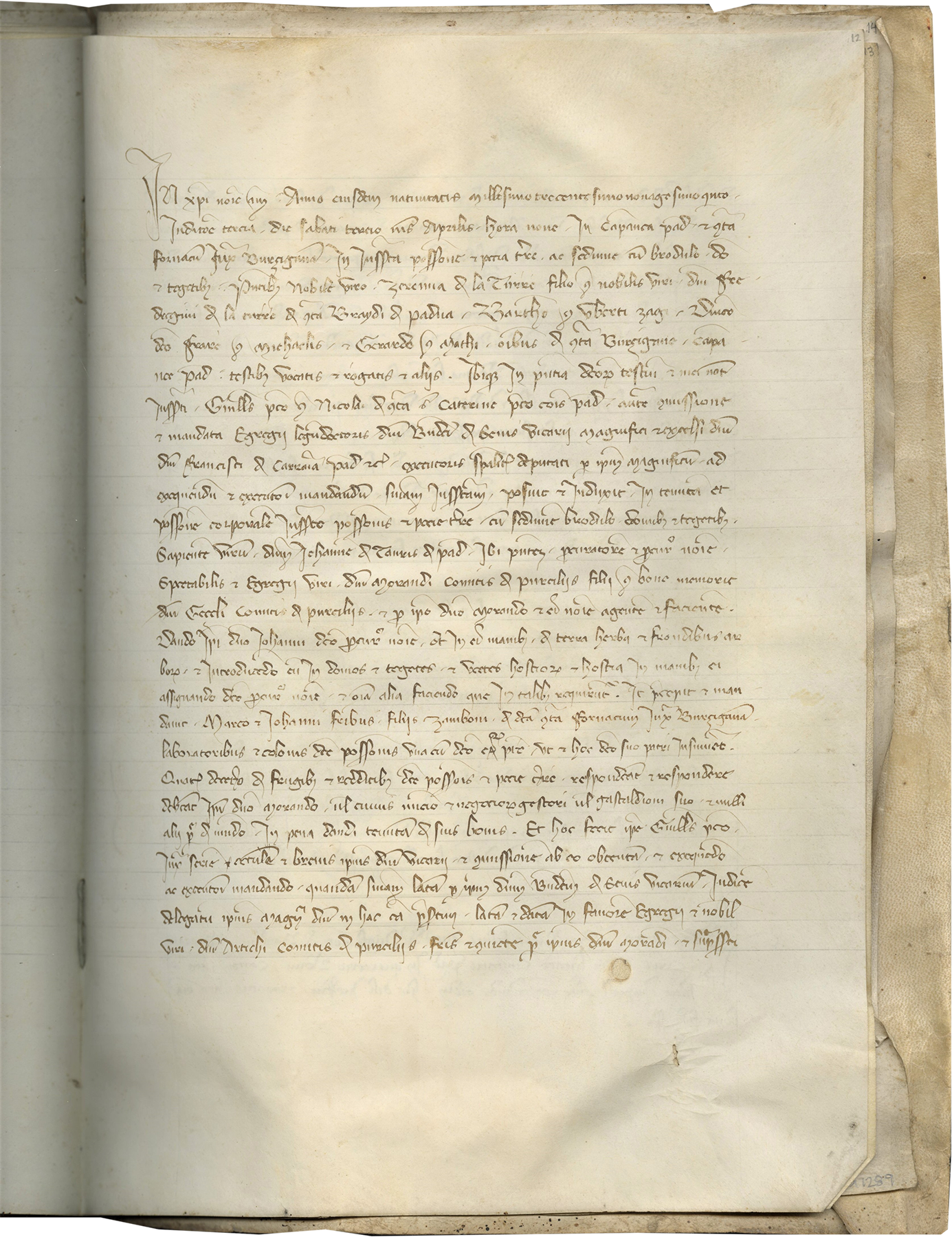 Notarial Register from Padua : Medieval Text Manuscripts